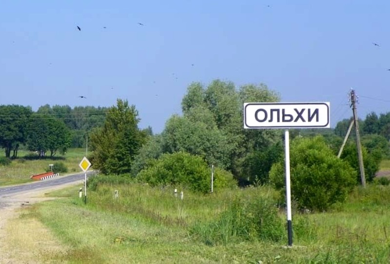 село Ольхи Ухоловский район